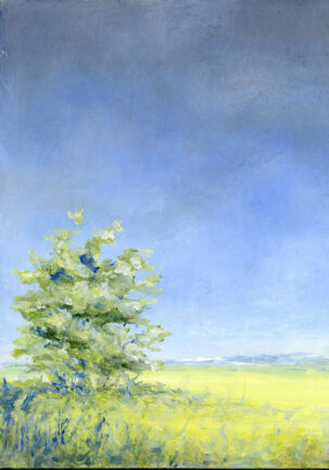 ACROSS THE MEADOW Oil on Clayboard 18x12cm Framed