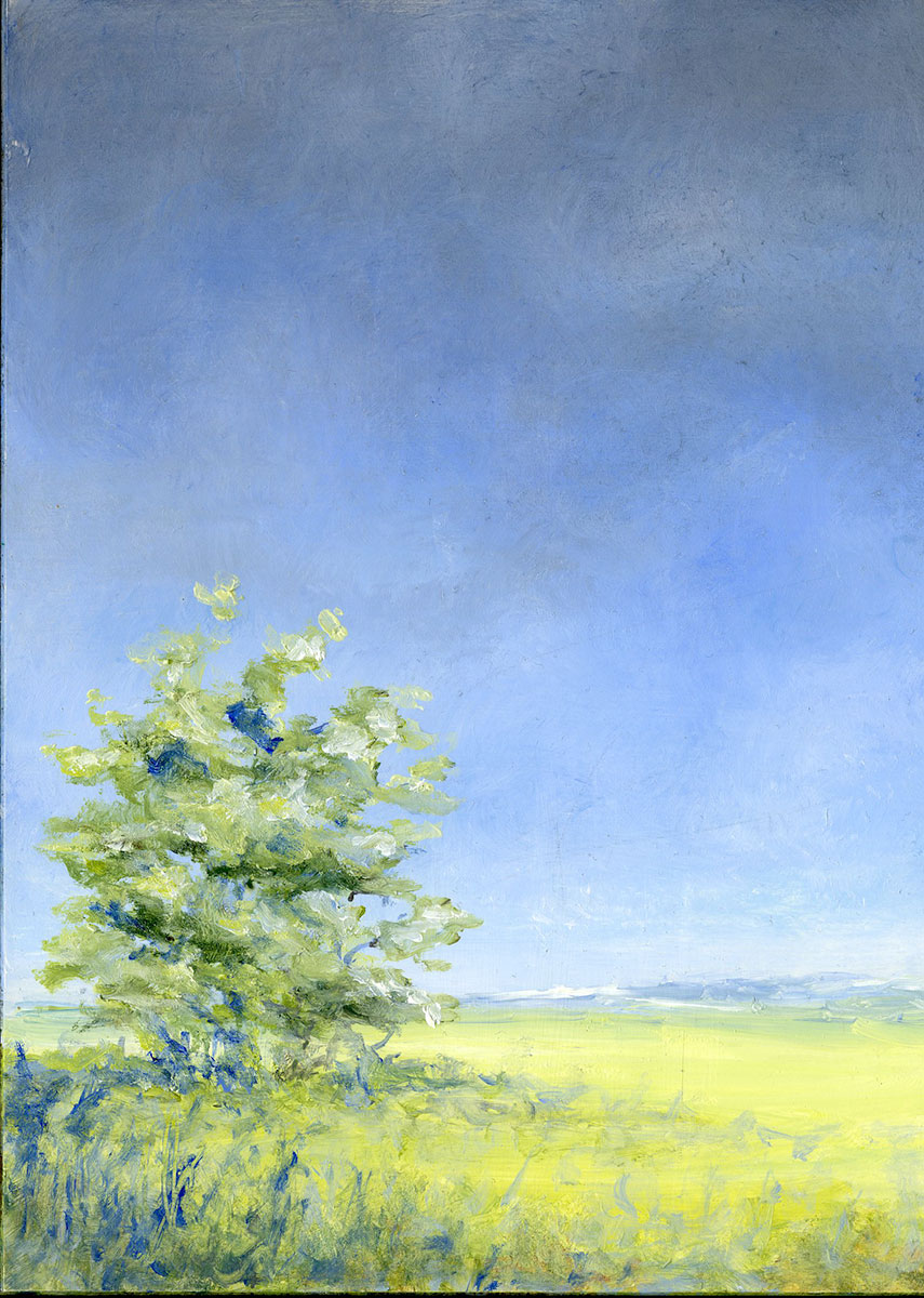 ACROSS THE MEADOW Oil on Clayboard 18x12cm Framed