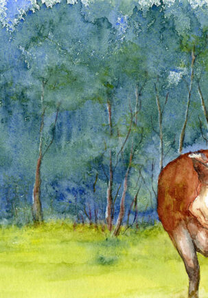 HERD YA Watercolour 22x30 Framed