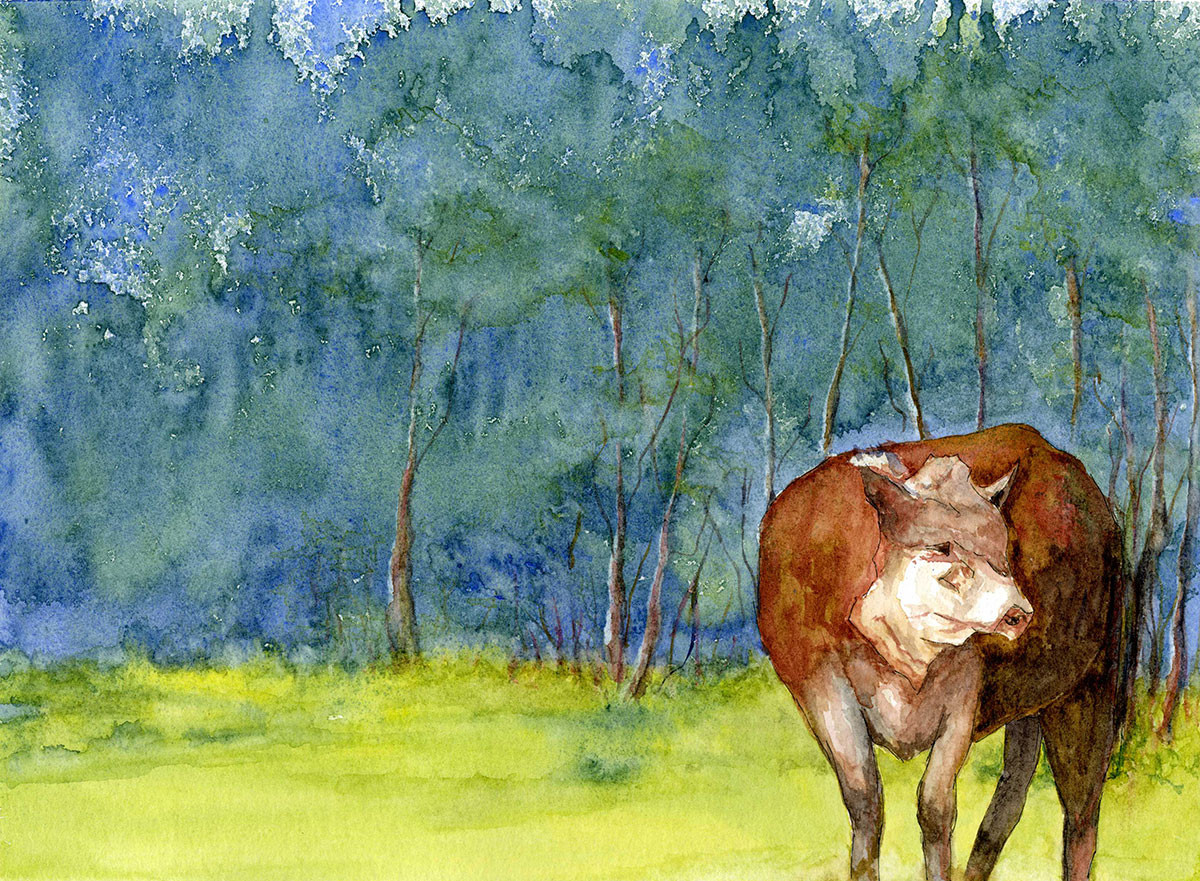 HERD YA Watercolour 22x30 Framed