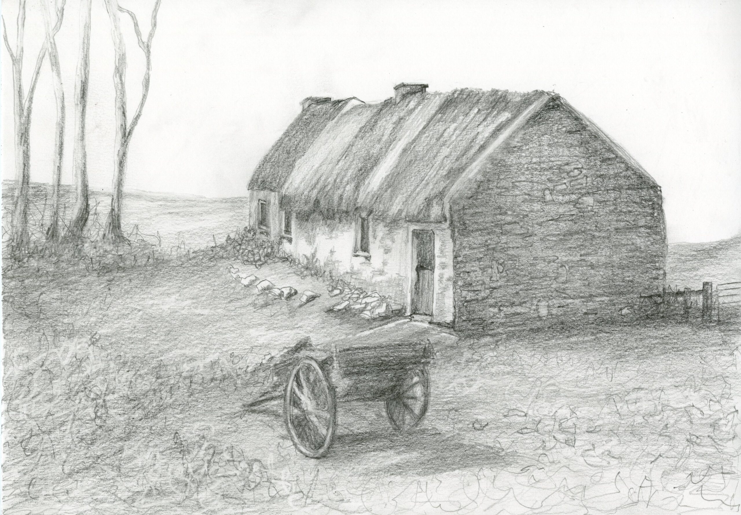 Rambling House, irish cottage